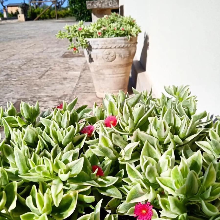 Nicuzza Martano Exterior foto